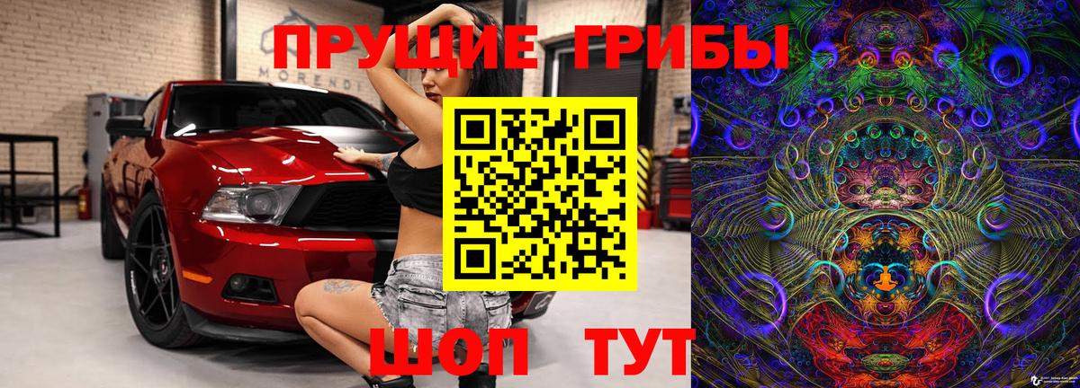 Елец  Псилоцибиновые грибы Psilocybe  Вход с VPN 